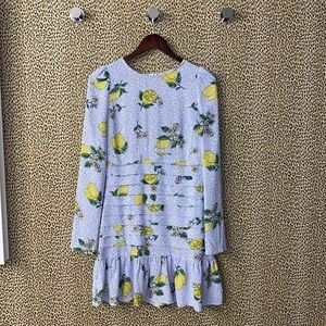 Never Fully Dressed size small dress